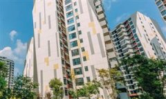 益生菌做为一种对人体无益的活性微生